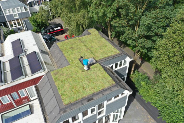 voordelen groen dak