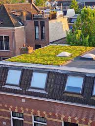 wat is een groen dak